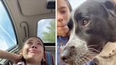 A dog owner said she was racing to find $6,000 so she wouldn't have to put her 'best friend' down. Supporters raised over $14,000 for her in a day.