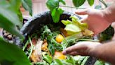 12 Composting Mistakes That Will Ruin Your Stash – And How To Fix Them