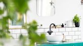 Descubra los beneficios de tener plantas en su baño