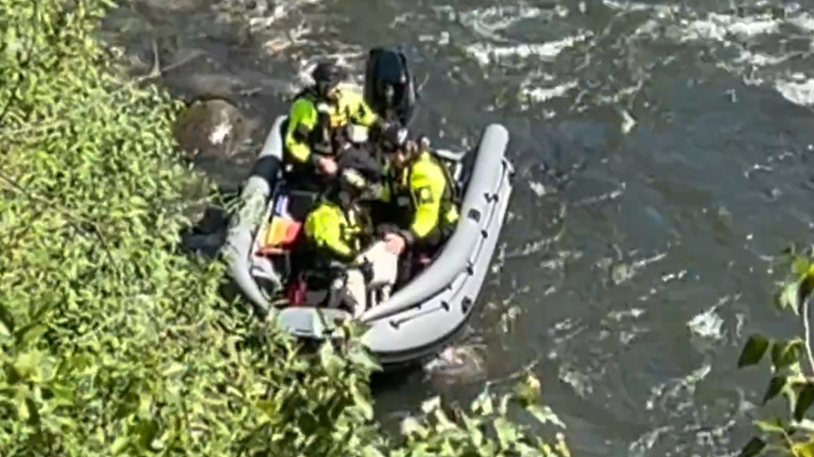 VIDEO: Authorities rescue dog stranded on boulder along Sandy River