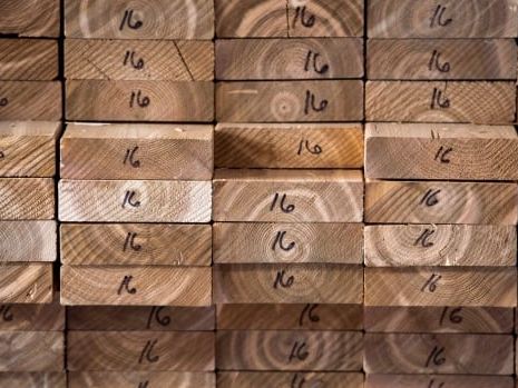 Critics slam review of Canadian forestry giant's sustainability credentials, asserting conflict of interest | CBC News