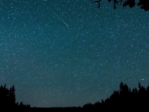 Perseid meteor shower to peak this weekend