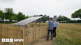 Jersey vineyard solar project could help 'dispel myths'