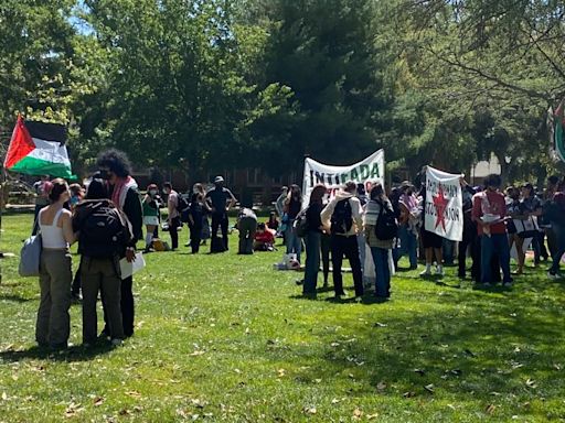 UC Davis students capitalize on May Day for Pro-Palestine protest