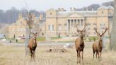 Photoshoot to see stately park close to visitors for six days
