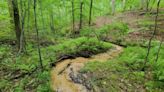 Pending West Tenn. land conservation deal could create a state forest, protect Memphis water supply