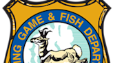 Game and Fish budget tightens