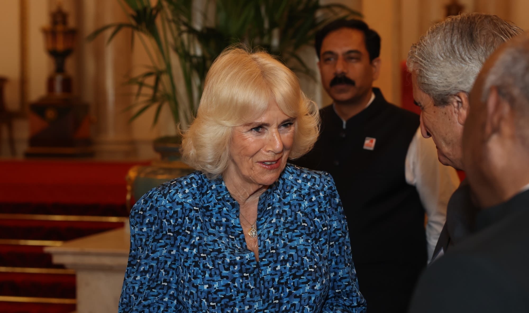 Queen Camilla Repurposes Fiona Clare Dress for Buckingham Palace Reception