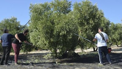 Las tres noticias más importantes de la mañana en Córdoba