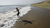 The Banana King of Wellfleet (and other things to know about this surprising seaside town) - The Boston Globe