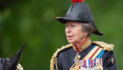 Princess Anne, sister of King Charles, suffering memory loss after horse-related concussion: report