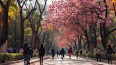 Pronóstico del clima de hoy 18 de junio para Puebla