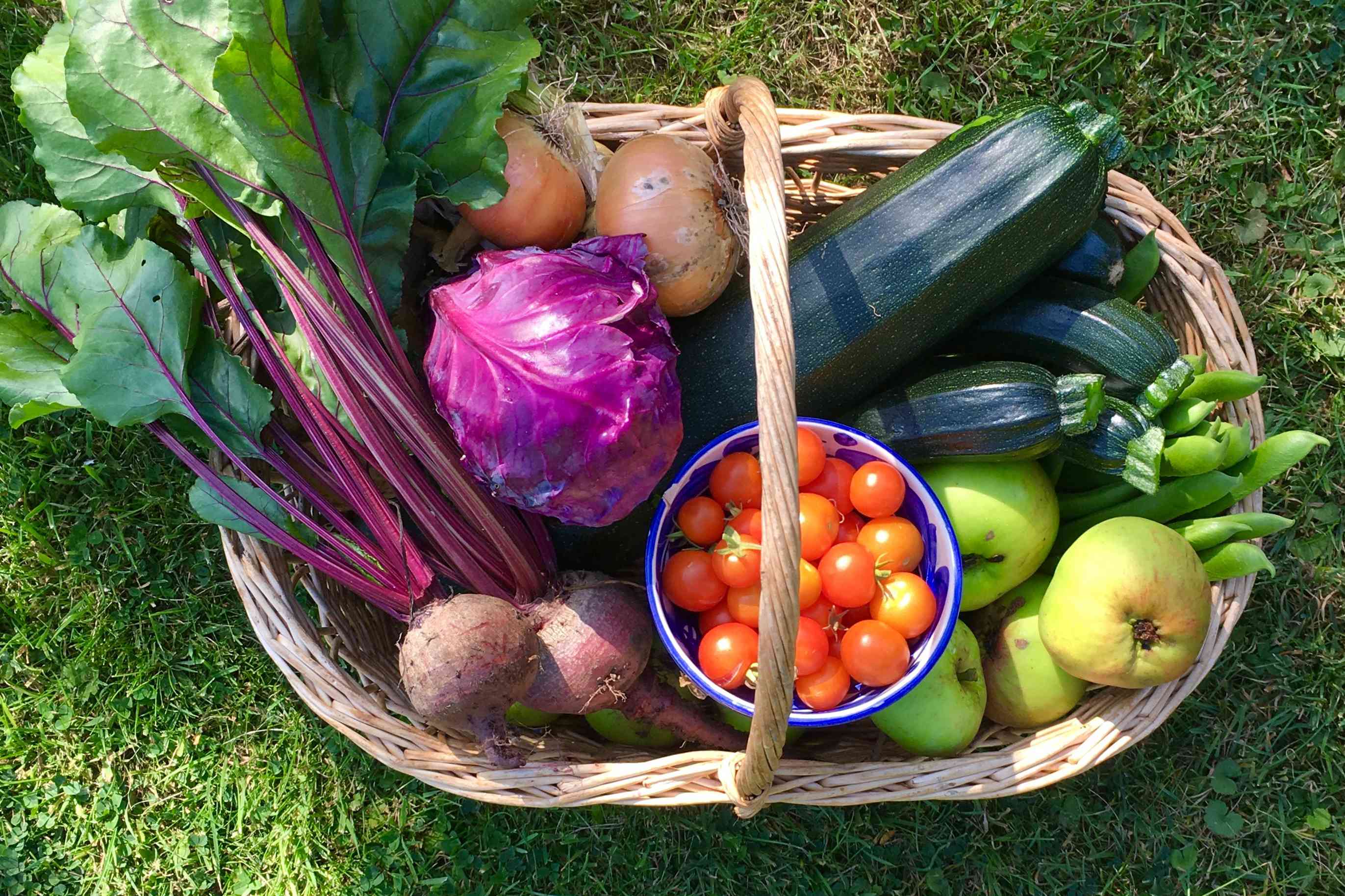 7 Vegetables That Shouldn't Share a Garden Bed