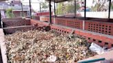 Amritsar MC’s waste mgmt plan hits roadblock as garbage collection remains inconsistent