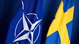 Turkey Approves Sweden NATO Bid, Leaving Hungary as Holdout