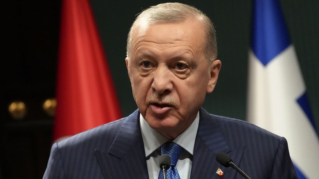 Erdoğan accuses social media of 'digital fascism' after Turkey blocks Instagram