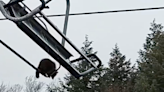 Raccoon Caught Riding Chairlift At Vermont Ski Area
