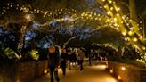 Get outside during the holiday break in Phoenix with First Day Hikes, ZooLights and more