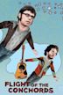 Flight of the Conchords (serie de TV)