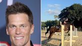 Tom Brady Cheers on Daughter Vivian as She Practices Jumps on Her Horse: 'Air Vivi'