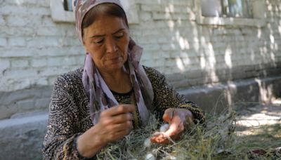 Uzbekistan tries to put fresh spin on its silk industry