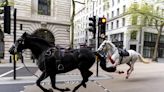 At Least 4 Injured After Runaway Royal Horses Gallop Through Streets of London