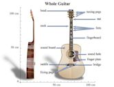 Acoustic guitar