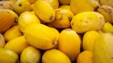 How to Plant and Grow Spaghetti Squash in Your Garden