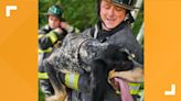 Newport News firefighters rescue a dog stuck in a tree. Yes, a dog in a tree.