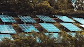 This Spanish city plans to turn its cemeteries into the country’s largest urban solar farm