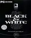 Black & White (video game)