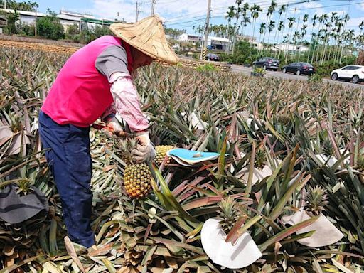 中國取消34項農產品免關稅 南投縣靠1原因未受影響