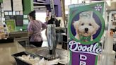 Doodle Drive-In: Dogs, drinks and doodles in a relaxing retro vibe