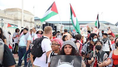 挺巴勒斯坦民眾抗議 (圖)