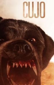 Cujo (film)