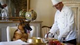 A dog rumored to have a $400 million fortune is getting his own Netflix documentary