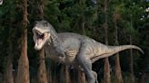 Three Boys Discovered a T. Rex Fossil on a Hike. Soon, It Will Be on Display.