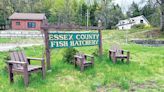Stocking numbers reduced as New York's Essex County fish hatchery faces wastewater issue - Outdoor News