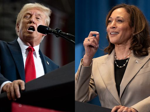 Trump vs. Harris: what each presidency would mean for the green transition