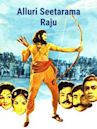 Alluri Seetarama Raju (film)