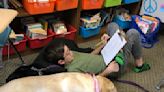 Middle schoolers raise guide dog puppies for visually impaired future owners: 'They just add joy to the school'