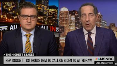 Jamie Raskin Says Democrats Won’t Act Like ‘an Authoritarian Religious Cult’ About Biden Debate | Video