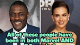 It Turns Out There's A Surprising Amount Of People Who Have Appeared In Both Marvel And DC Movies