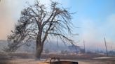 Wind-fanned wildfires force thousands to flee seaside resorts outside Greek capital