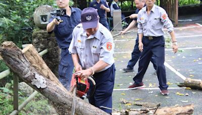 掛雪鏈、救山難......橫山警分局山地義警添生力軍 闖關競賽驗收