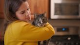 2024 Hot Docs 'American Cats: The Good, the Bad, and the Cuddly' exposes the torture of cat declawing, just to protect furniture