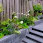 tuin Border