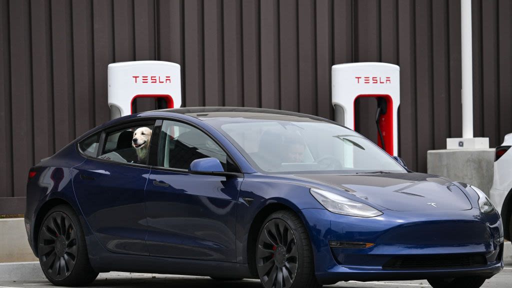 Tesla Reportedly Tells Owners to Stop Using Dog Mode