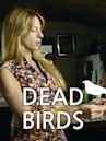 Pájaros muertos