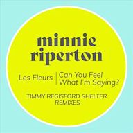 Fleurs/Can You Feel What I'm Saying? [Timmy Regisford Shelter Remixes]